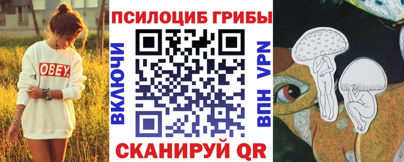 Купить где  Новоалтайск  Псилоцибиновые грибы Psilocybe 