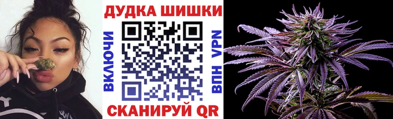 МАРИХУАНА THC 21%  Купить где  Новоалтайск 